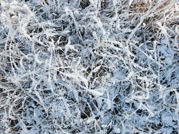 Una Vista Hierba Seca Cubierta Cristales Escarcha Día Soleado Helado — Foto de Stock