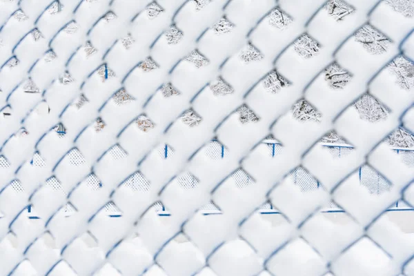 Zicht Het Met Sneeuw Bedekte Gaas Achtergrond Concept Natuur — Stockfoto