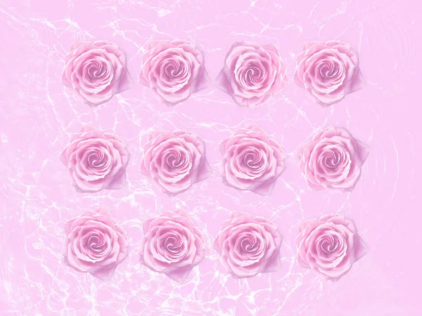 분홍빛 장미의 꽃들이 줄줄이 흐르는 분홍빛 배경에 줄지어 배열되어 — 스톡 사진