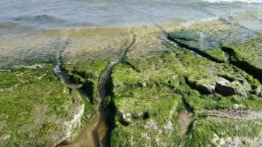 Dalgalar tarafından yıkanan yeşil çamurda kayalık sahilin manzarası.