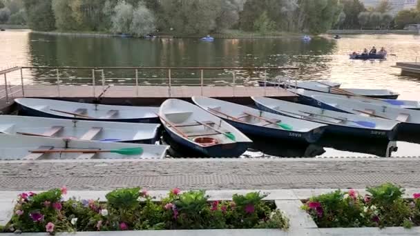 Rússia Moscovo Parque Izmailovsky 2020 Vista Dos Barcos Cais Lagoa — Vídeo de Stock