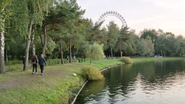 Rusia Moscú Parque Izmailovsky 2020 Vista Del Terraplén Del Embalse — Vídeo de stock