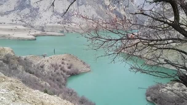 Κάτοψη μιας γαλάζιας λίμνης στα βουνά την άνοιξη που περιβάλλεται από ανθισμένες βερίκοκες. Ρωσία. Νταγκεστάν. — Αρχείο Βίντεο