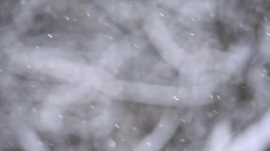 Ağaçların bulanık kış arkaplanı ve Bokeh şeklinde ışıldayan kar manzarası.
