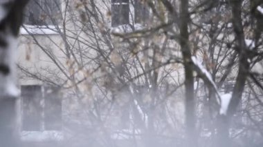 Evin manzarası, rüzgarda sallanan ağaçlar kar yağarken.