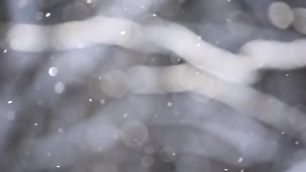 Vista Fondo Borroso Invierno Árboles Nieve Brillante Volando Forma Bokeh — Vídeo de stock