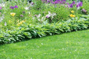Farklı çiçeklerden çiçek yataklarının manzarası ve bahçede bir çimen.