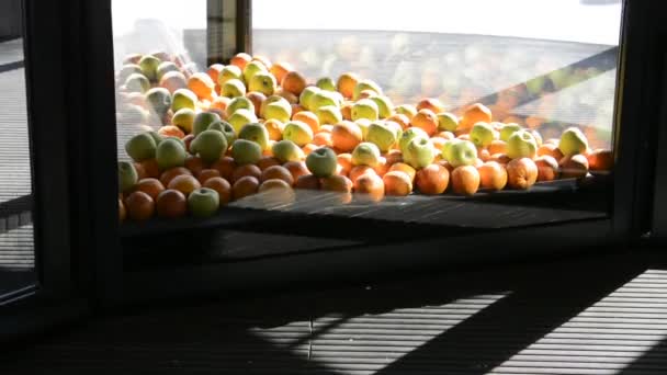 Вид на вращающуюся круглую дверь, украшенную апельсинами и яблоками, через которые проходят люди. — стоковое видео