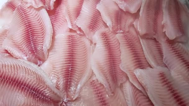 Filéer av färsk tilapia fisk ligger på isbänken i butiken under en kylspray... — Stockvideo