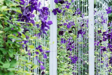 Metal bir yapıda ipler boyunca süzülen mavi bir yarık manzarası.