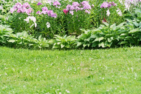 芝生と明るい多色の花と花壇の眺め — ストック写真