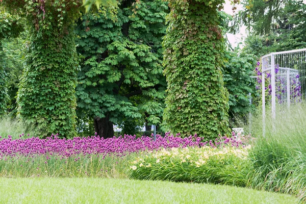 Een Uitzicht Een Bloembed Met Bloemen Een Steun Waarlangs Wilde — Stockfoto