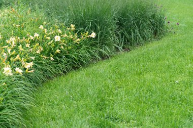 View of a lawn and a flowerbed with lilies and ornamental grass