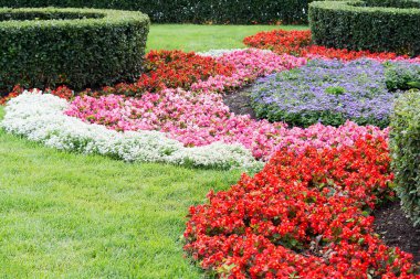 View of flower beds with colorful multi-colored flowers and trimmed bushes of various shapes