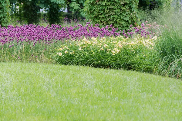 Een Uitzicht Een Bloembed Met Bloemen Een Steun Waarlangs Wilde — Stockfoto