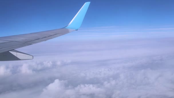 View of the wing of a flying plane high in the sky through the clouds in sunny weather. — Wideo stockowe