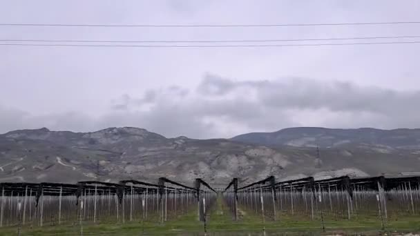 Вид из бокового стекла движущегося автомобиля на вспаханные поля и виноградники весной на фоне гор. — стоковое видео