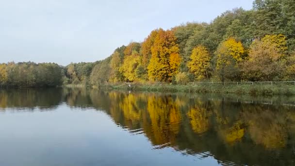 Paisaje otoñal con vistas al lago, que refleja el colorido follaje brillante de los árboles en el parque natural de la ciudad. — Vídeos de Stock