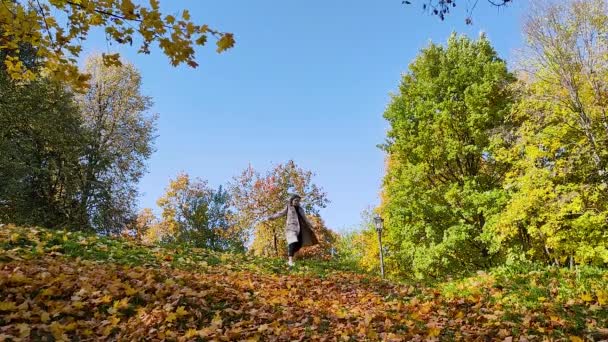 Vista de una niña alegre corriendo desde la montaña en un hermoso bosque de otoño sobre el fondo del cielo. Movimiento lento. — Vídeos de Stock