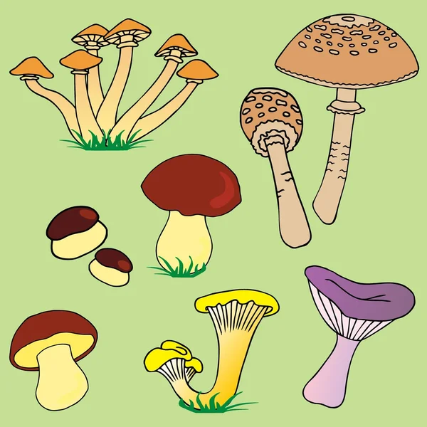 Diverses collections de champignons 01 — Image vectorielle