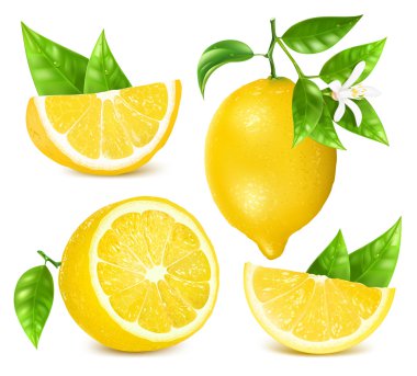Fresh lemons with leaves and blossom. clipart