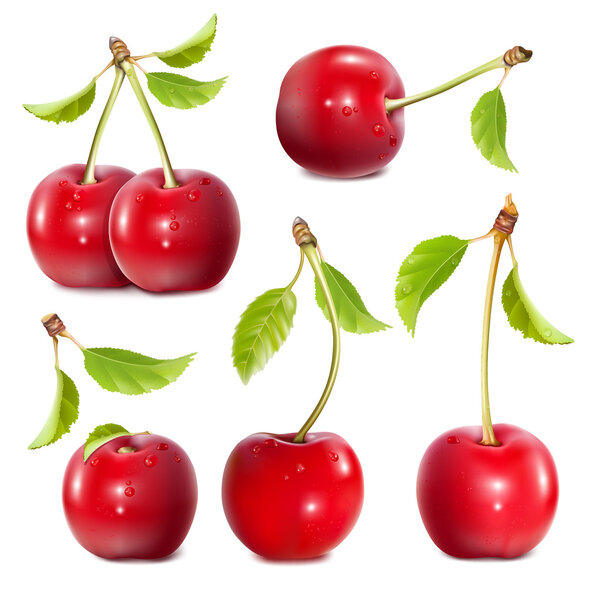 Ripe red cherries.