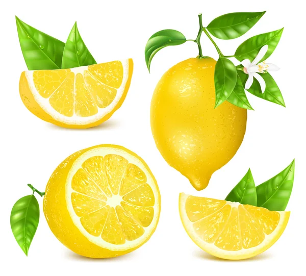 Verse citroenen met bladeren en bloesem. — Stockvector
