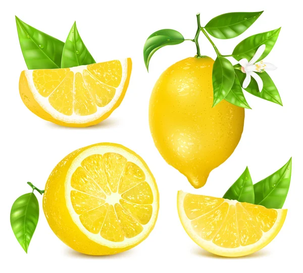 Limones frescos con hojas y flores . Vectores De Stock Sin Royalties Gratis