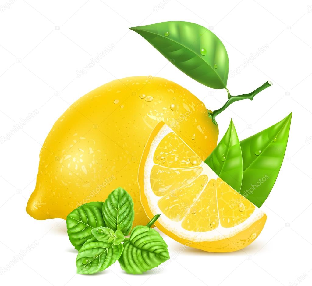 Fresh lemons with leaves and mint.