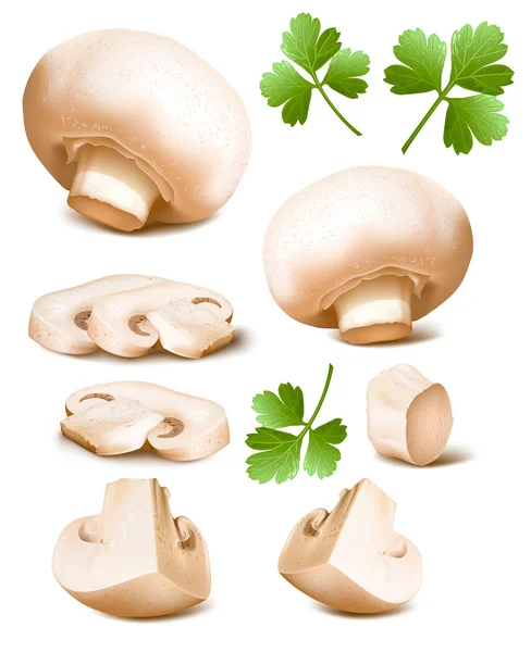 Mushrooms with parsley. — Stock Vector