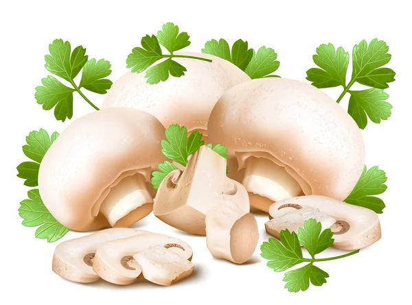 Mushrooms with parsley. — Stock Vector