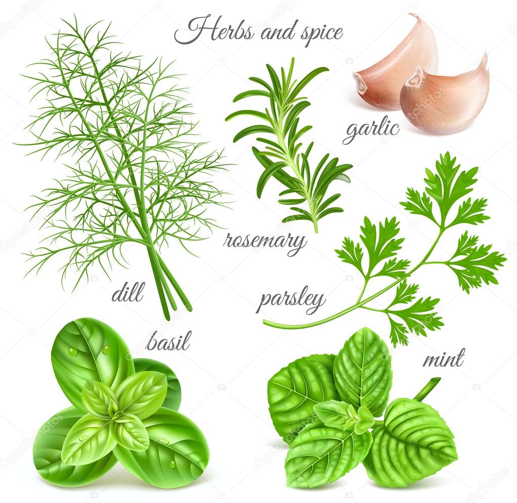 Herbs and spice