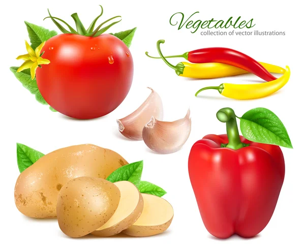 Ripe fresh vegetables. — Stock Vector