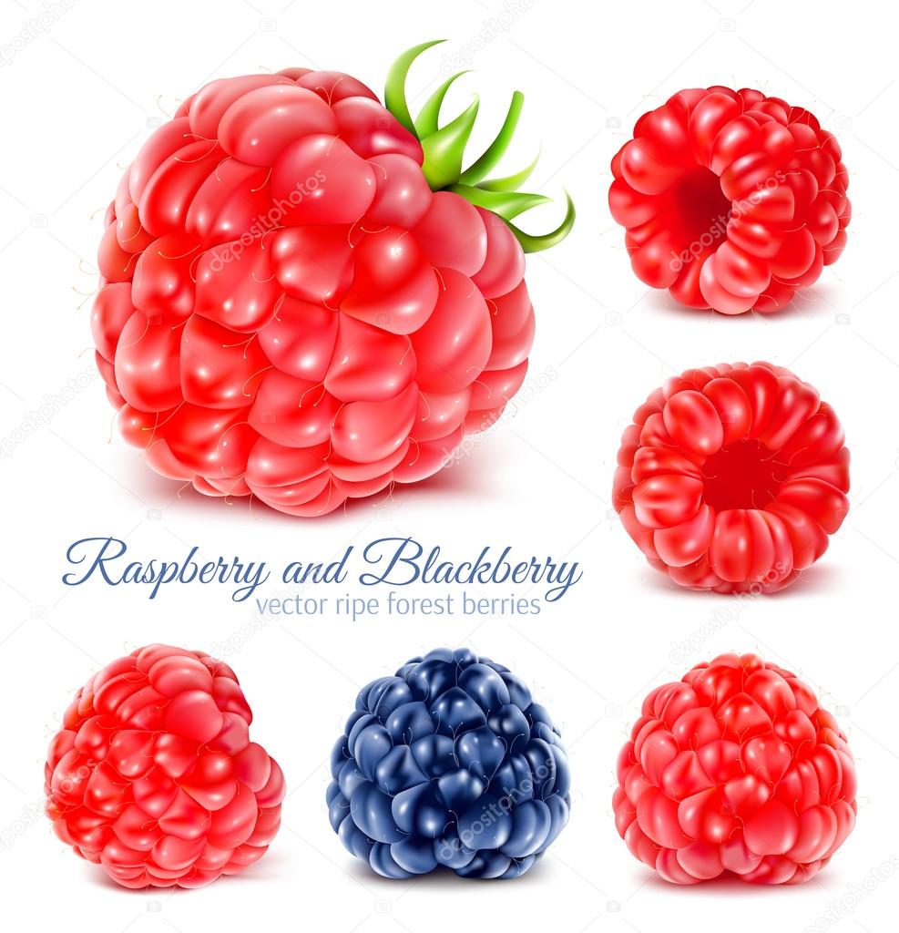 Raspberries and blackberry.