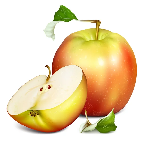 Hele halve cut appels — Stockvector
