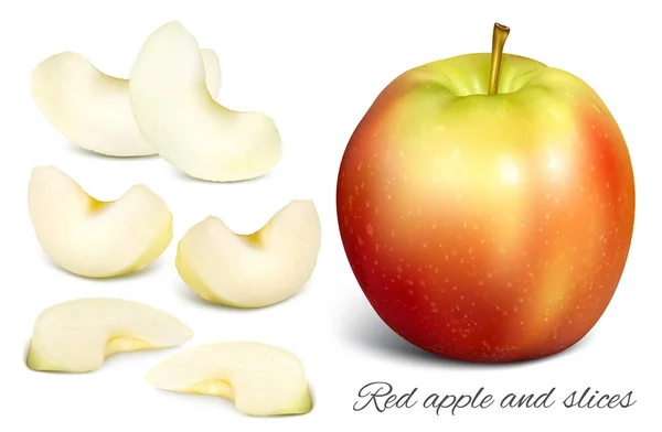 Apple en apple segmenten. — Stockvector