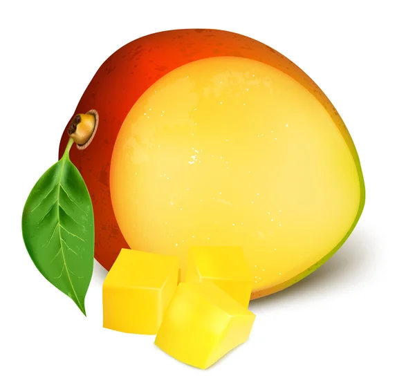 Ripe fresh mango with slices. — Stock Vector