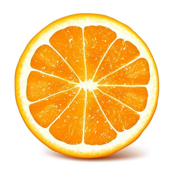 Naranja fresca madura — Vector de stock