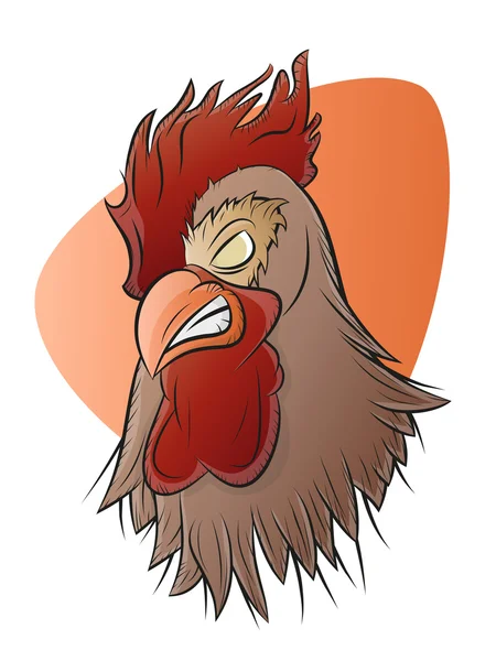 Angry rooster illustration — Stock Vector