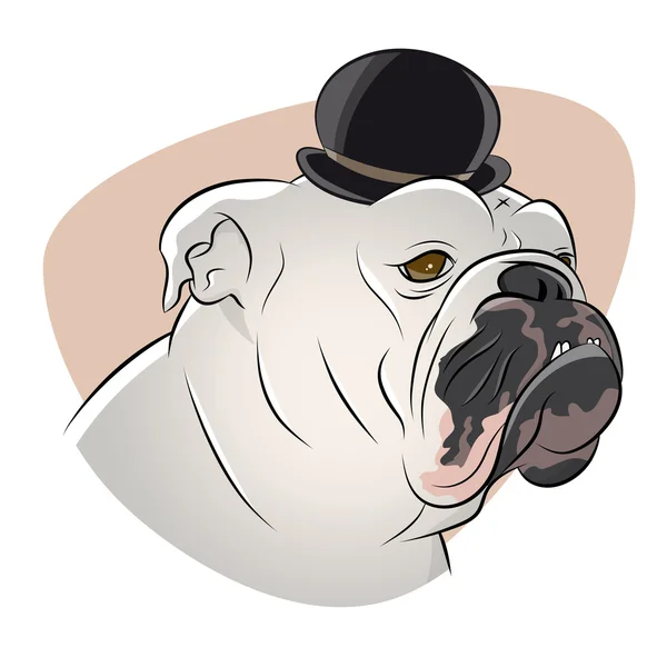 Bulldog británico con sombrero derby — Archivo Imágenes Vectoriales