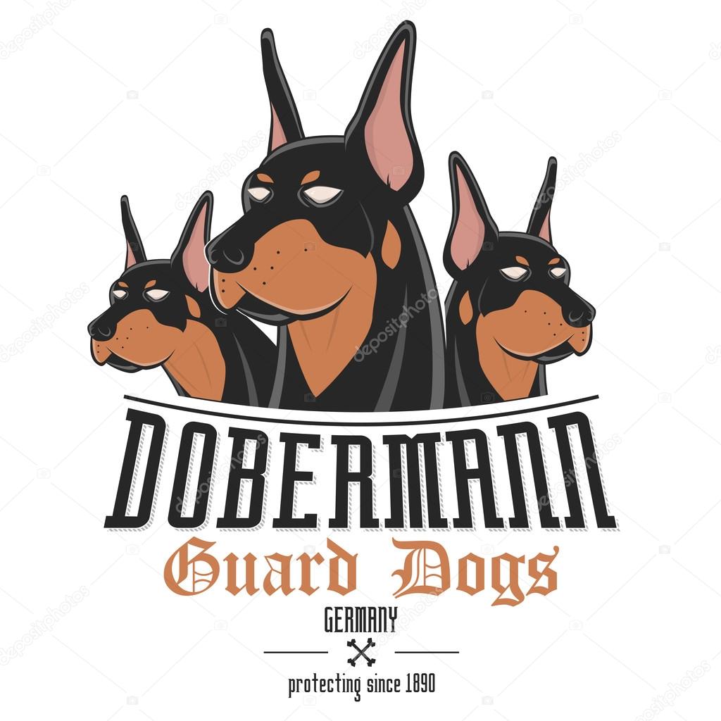 dobermann dog vector illustration