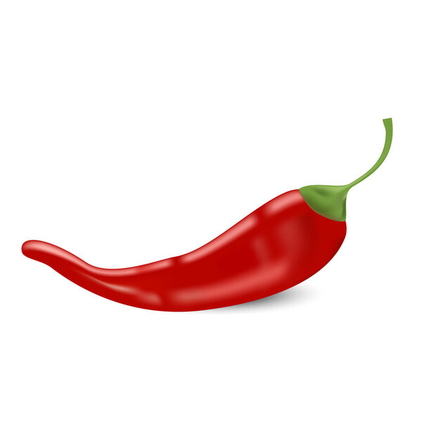 isolated vector chilli