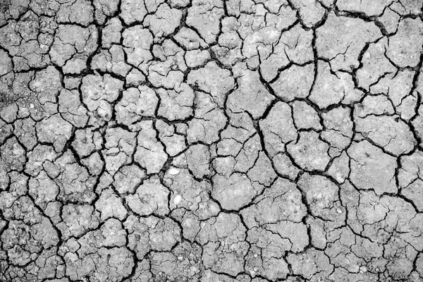 Cracked clay ground — Stock Photo, Image