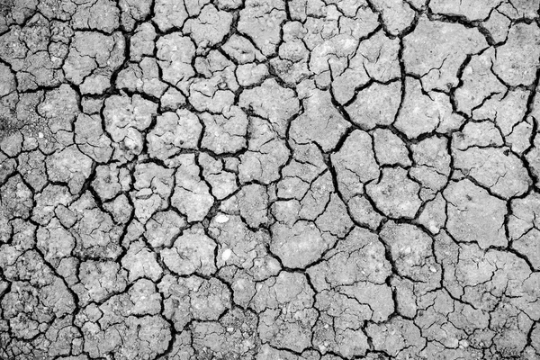 Cracked clay ground Royalty Free Stock Images