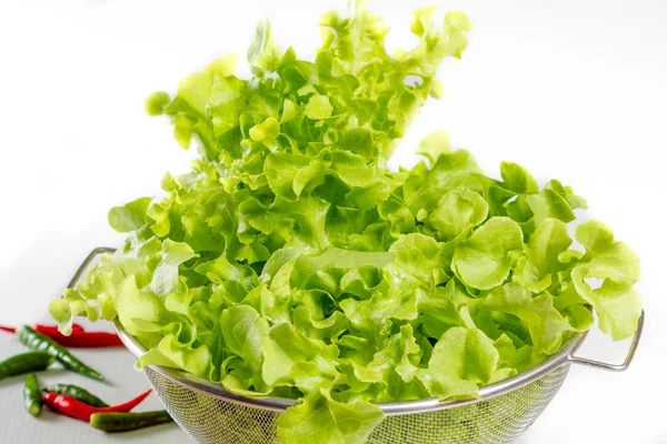 Fresh lettuce bowl — Stock Photo, Image