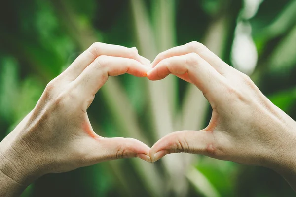 Forma del corazón — Foto de Stock