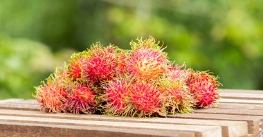 Rambutan