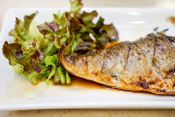 Lukk halen på grill Saba Fish – stockfoto