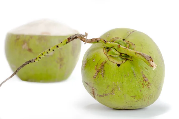 Coconut — Stock Photo, Image