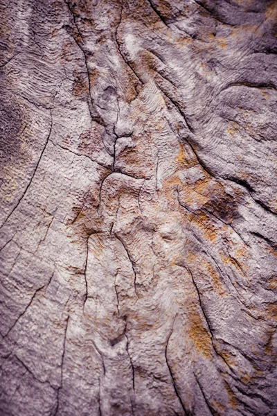 Struttura del legno — Foto Stock